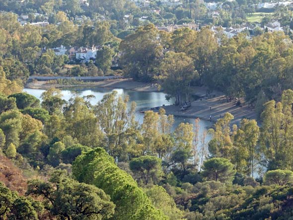 Lago de las Tortugas (M. Limón Andamoyo, junio 2020)