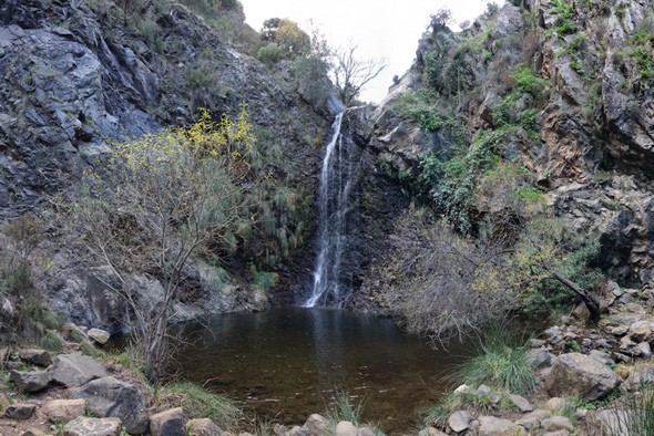 Charco de la Virgen (M. Limón Andamoyo, diciembre 2020)