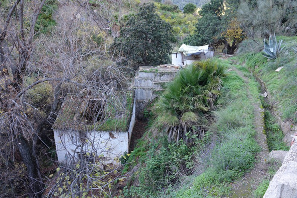 Molino Perejil )M. Limón Andamoyo, diciembre 2020)