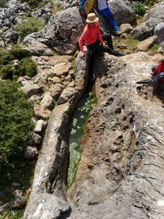 Pilón de las Chozas (M. Limón Andamoyo, abril 2017)