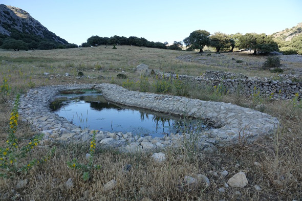 Estanque del Refugio de Líbar (M. Limón Andamoyo, julio 2021)
