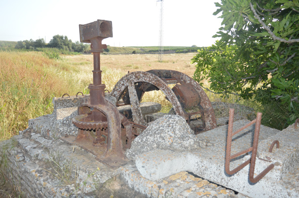 Noria en margen Oeste del terreno sembrado de trigo junto al arroyo La Moreras (R. Velasco Riejos, mayo 2022)