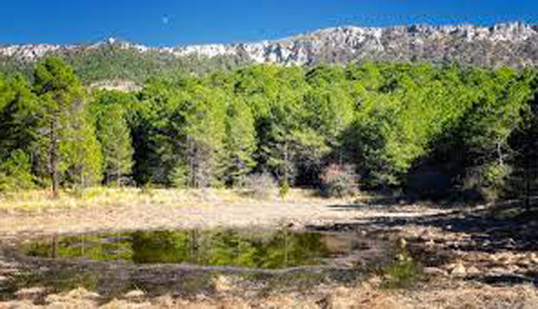 Laguna de la Orcera o de La Hueta (www.ujaen.es)
