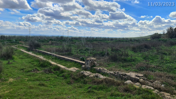 Vista general del pilar, en el entorno (A. Ventas, marzo 2023)