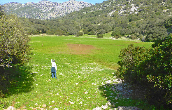 Vista desde la cercana Colada de la Breña del gran humedal salpicado de lagunillas, apenas perceptible por las abundantes hierbas (P. Sánchez Gil, marzo 2024)