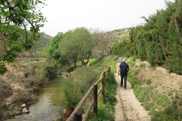 Sendero del río Turón (M. Limón Andamoyo, marzo 2024)