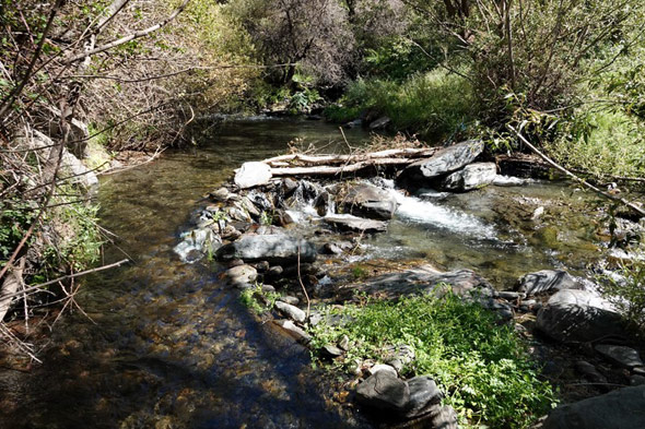 Toma de agua de la Acequia Nueva (M. Limón Andamoyo, julio 2023)