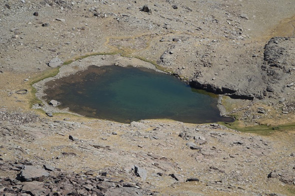 Laguna baja de Las Calderetas (M. Limón Andamoyo, septiembre 2021)