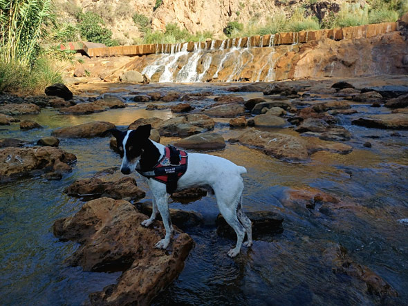 Presa del Granadino (J. Rubia Gonzñalez, agosto 2024)