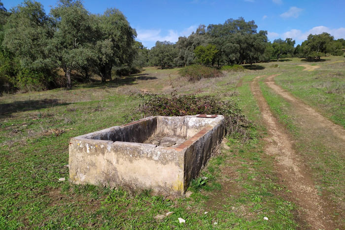 Pilón, Fuente o Abrevadero seco de Las Cruces (www.adeselambrar.com, noviembre 2020)