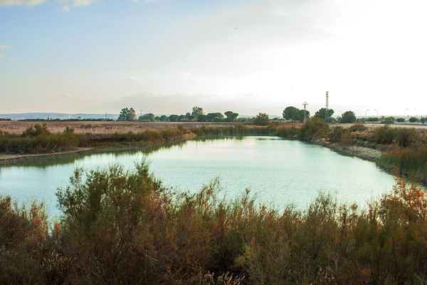 Laguna del Cuadrejón (www.entornoajerez.com, febrero 2016)