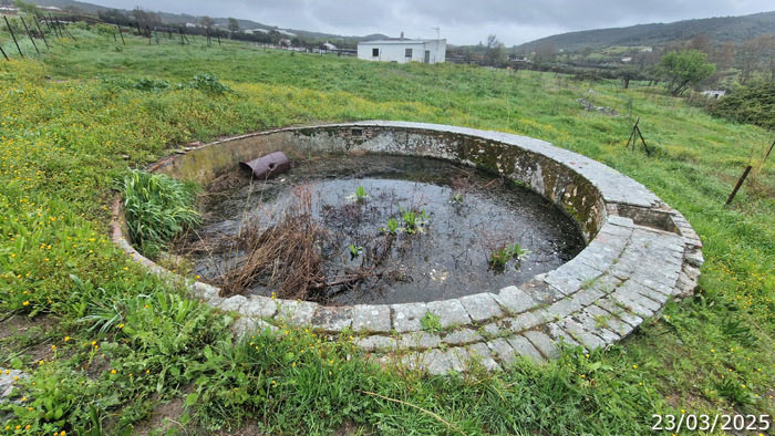 Alberca de la huerta (A. Ventas, marzo 2025)