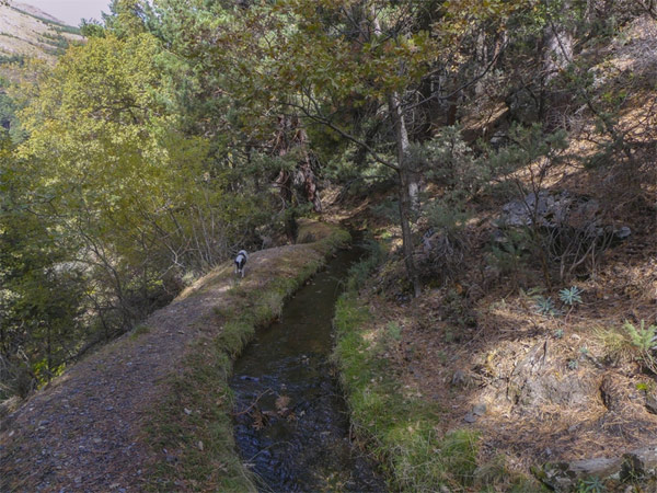 Acequia del Almiar (J. Rubia González, noviembre 2025)