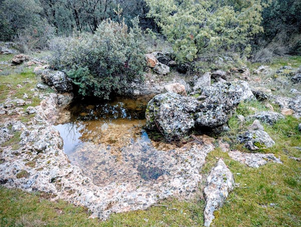 Calderón del Caserón (M. A. Martos monereo, febrero 2026)