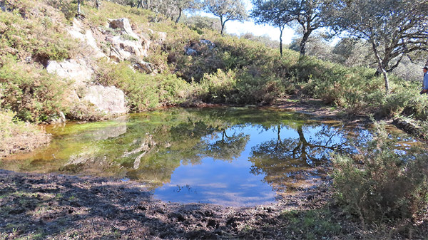 Lagunilla de los Pajares (Pedro Sánchez Gil, marzo 2026)