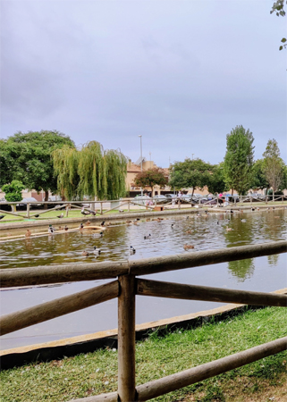 Laguna del Moral (M. Palomo Duarte, octubre 2021)