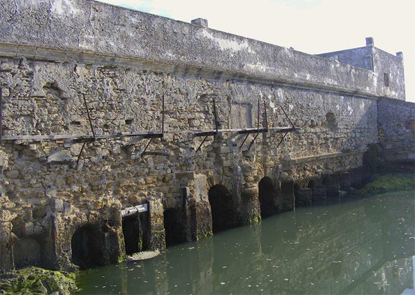 Molino de Mareas del Río Arillo (osecelestinomutis.cadiz.es)