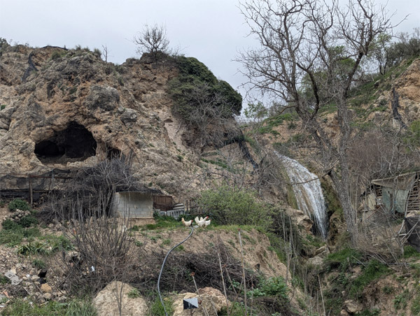 Cascada del Barranco de la Hoya de Bornos (M. A. Martos Monereo, marzo 2026)