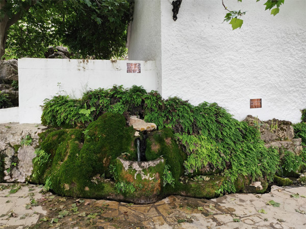 Fuente adosada en el paraje del El Nacimiento (V.M. Robles Arenas, abril 2026)