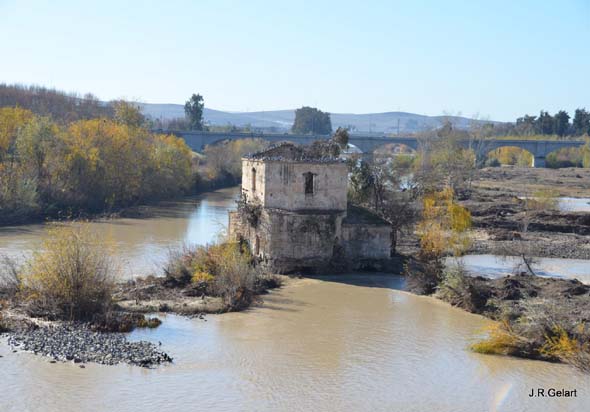 Molino de Pápalo (J. Rodriguez Gelart, diciembre 2013)