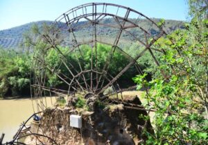 Noria de la Huerta de los Cruces (J. Torres Garrido, abril 2014)