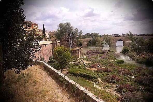 Molino y noria de la Albolaia (J. A. Palomino, junio 2013)