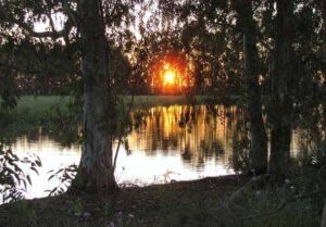 Laguna de Almerique (A. B. Galán Díaz, mayo 2009)