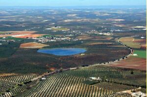 Laguna de los Arenales (www.juntadeandalucia.es/medioambiente)