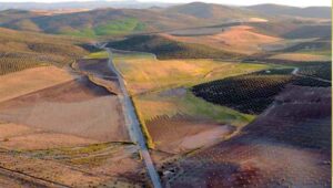 Laguna de la Roa (www.juntadeandalucia.es)