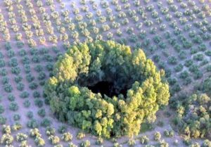 Laguna del Butaquillo (www.juntadeandalucia.es)