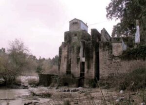 Grúas de El Carpio (www.juntadeandalucia.es)
