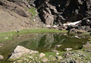 Lagunillo de Charca Pala (A. Castillo, junio 2006)