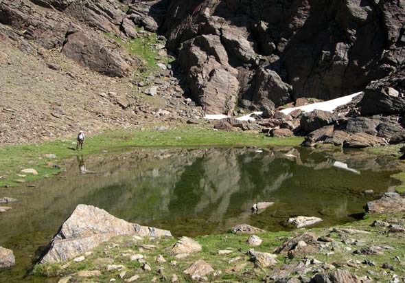 Lagunillo de Charca Pala (A. Castillo, junio 2006)