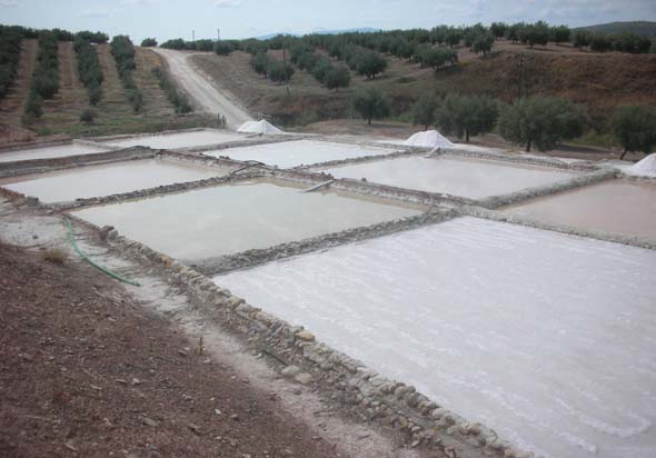 Salinas del Puente (L. Sánchez Díaz, septiembre 2018)