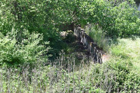 Alberca de la huerta de Manuel Gutiérrez Guerra (A. Márquez Pascual, abril 2019)