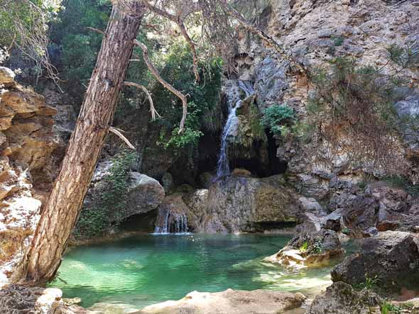 Pozas de Linarejos (M. A. Martos Monereo, junio 2019)