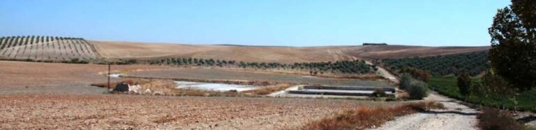 Salinas de San Francisco, vista general (www.caminosvivos.comr- E. Román López)