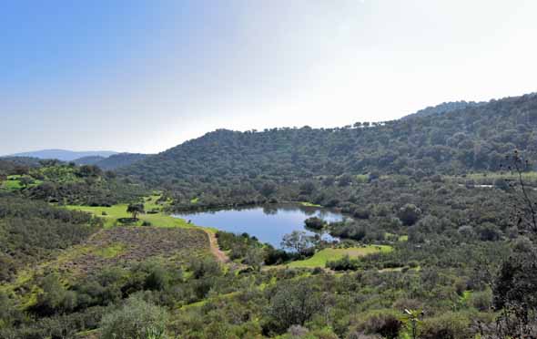 Laguna de La Adelfa, entorno (Antigona M. Pascual, febrero 2020)