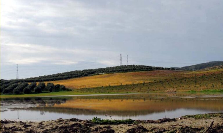 Laguna de la Roa (www.juntadeandalucia.es)
