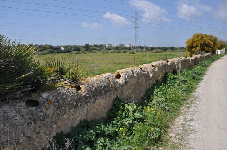 Acueducto de Torrecilla (M. Limón Andamoyo, marzo 2016)