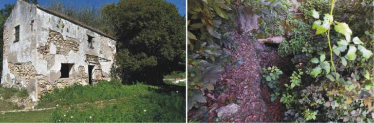 Antigua casa de campo, s. XIX-XX. A la derecha, ubicación de la fuente del Cura (A. Márquez Pascual, Anno Domini de 2019)