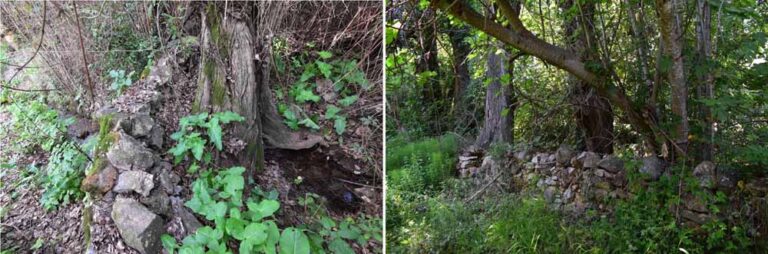 Pared de piedra seca junto al regajo de la Cruzada bajo la cual circulan las aguas del manantial hacia su desembocadura en el regajo (Antigona M. Pascual, abril 2019)