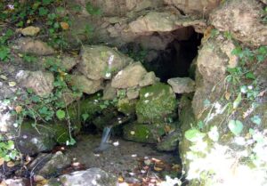 Fuente del Lechal (A. Castillo, julio, 2006)