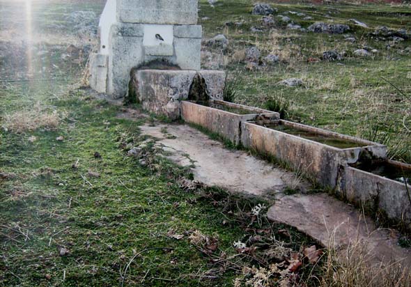 Fuente del Puerto (J. M. Díaz López, diciembre 2015)