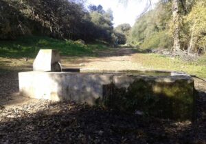 Fuente de los Peces con agua (A. Aljama Martínez, enero 2015)