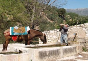 Fuente Catalina (L.Sánchez-Díaz, marzo 2006)