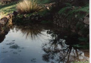 Fuente del Palancar (G. Perandres, 1996)