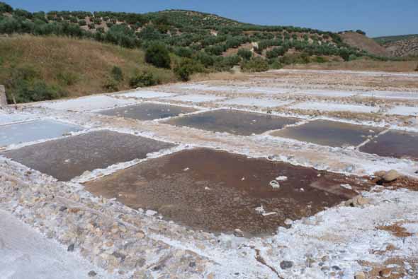 Panorámica de las salinas de San José (F. Moral Martos, julio 2018)