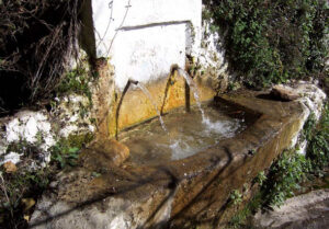 Fuente de Arriba (A. Bañuelos Arroyo, marzo 2004)