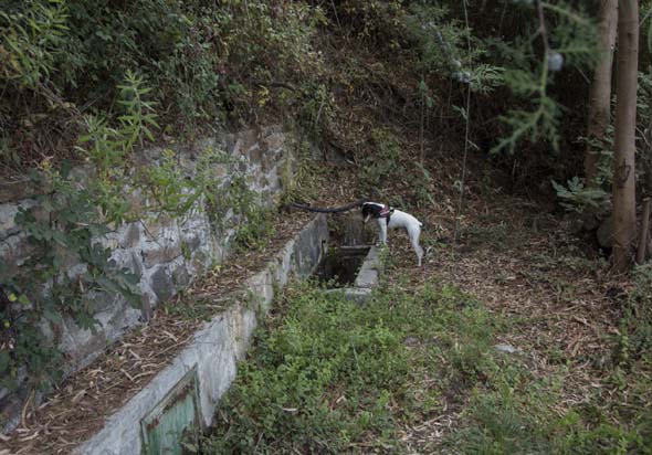 Fuente Fresca (J. Rubia González, octubre 2019)
